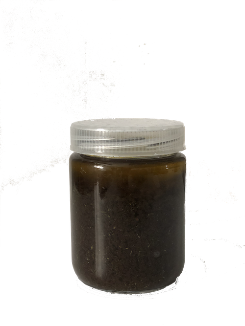 Organic Raw Vegan Tomato Dill Pesto (200g)