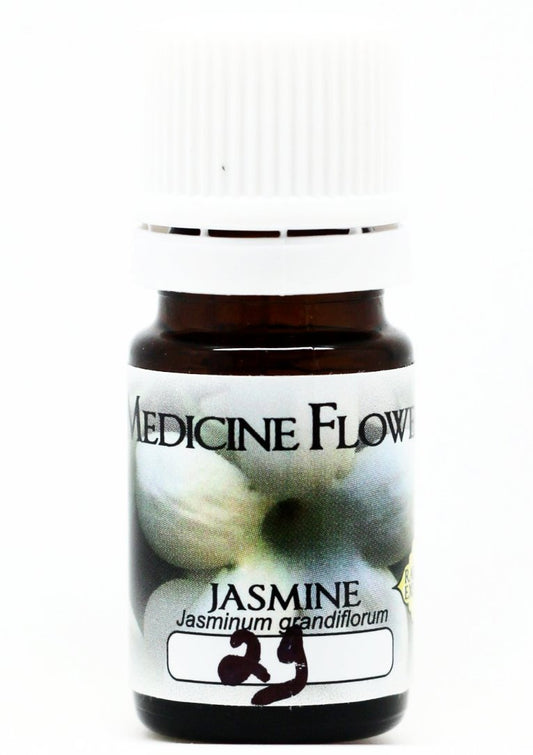 Medicine Flower - Jasmine (Jasminum sambac) Essential Oil (2ml)